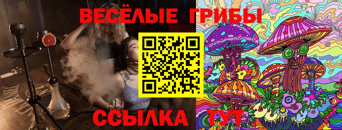 Галлюциногенные грибы Cubensis Ишим