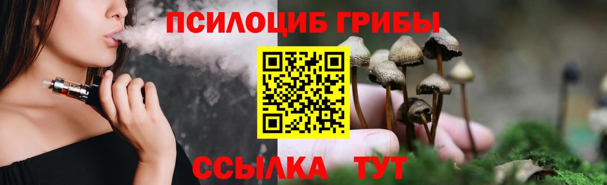 Ишим  Псилоцибиновые грибы Psilocybe  Вход с VPN 